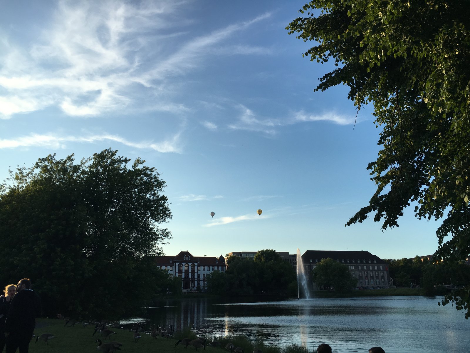 20160618_185608653_iOS