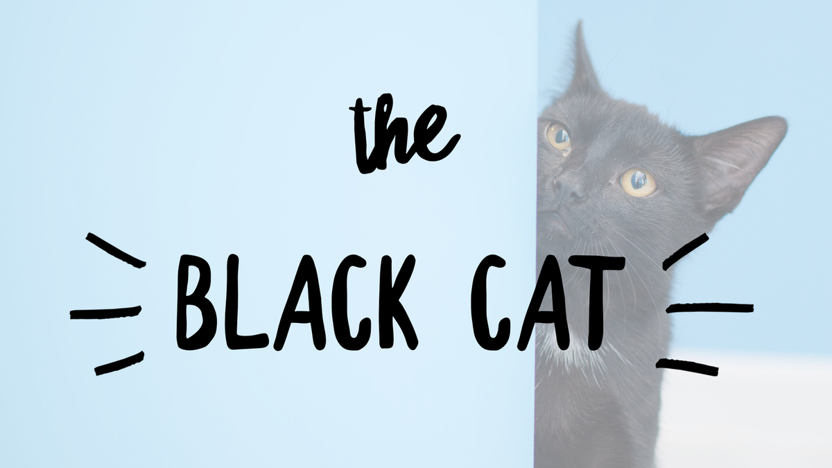 The Black Cat: Scripture vs Superstitions