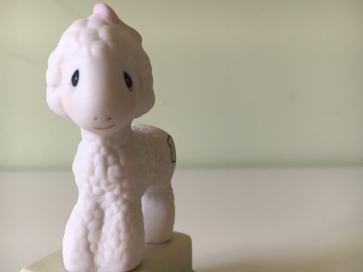 My Little Lamb