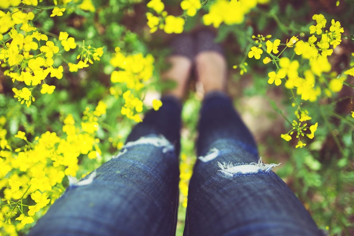 Some Spring To-Do’s