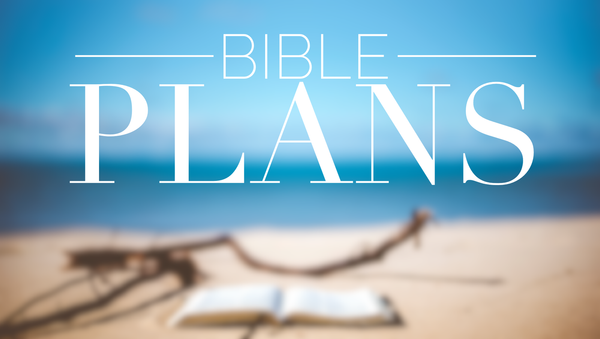 Bible Plan Recs for Fall
