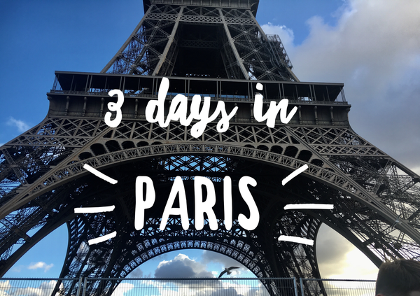 3 days in paris 1